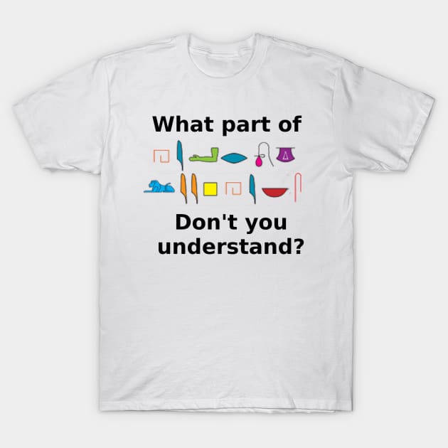 What part of hieroglyphics don't you understand T-Shirt by Artimaeus